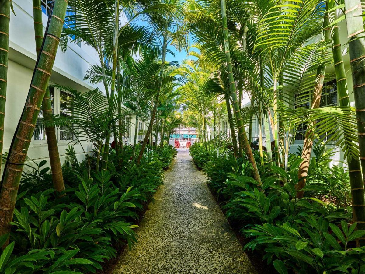เดอะฮอลล์ เซาท์ บีช Hotel ไมอามีบีช ภายนอก รูปภาพ